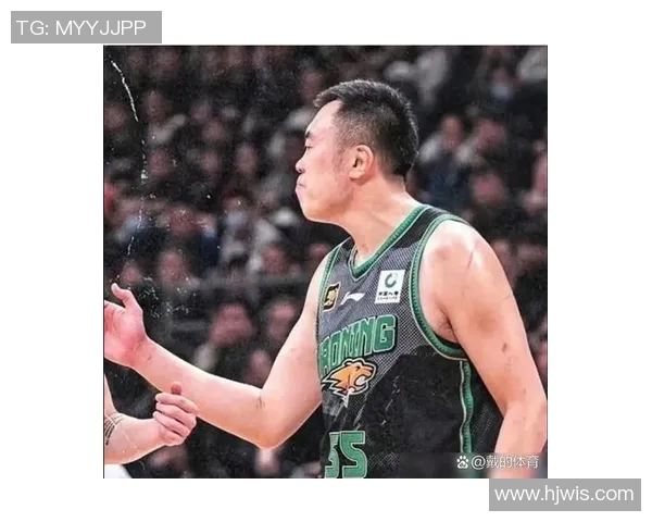 CBA辽宁队与新疆队对决数据分析及比赛亮点总结